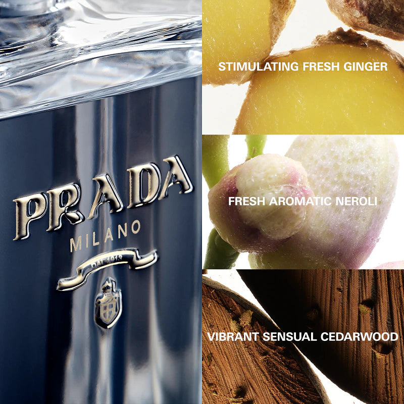Prada L'Homme L'Eau Dekant