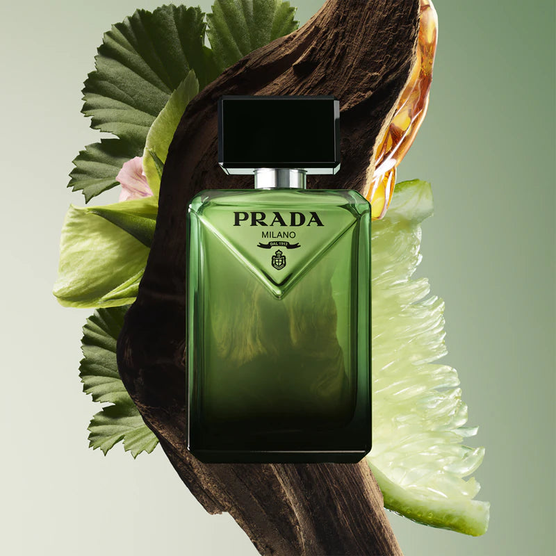 Prada Paradigme Dekant
